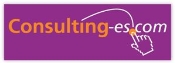 Consulting-es.com