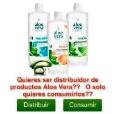 Aloe Vera Actividad