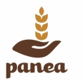 PANEA