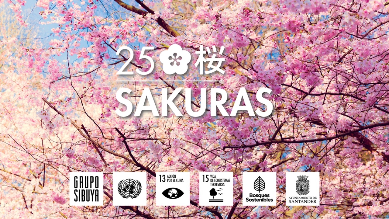 Grupo SIBUYA celebra el Día Mundial de la Naturaleza con la plantación de 25 árboles Sakura en Santander