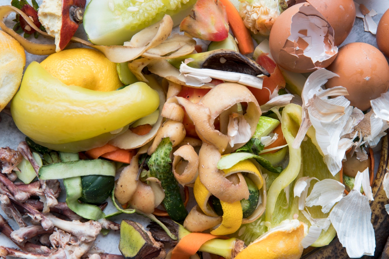 Si el despilfarro de alimentos fuera un país, sería el tercero que más emisiones de CO2 libera en el mundo