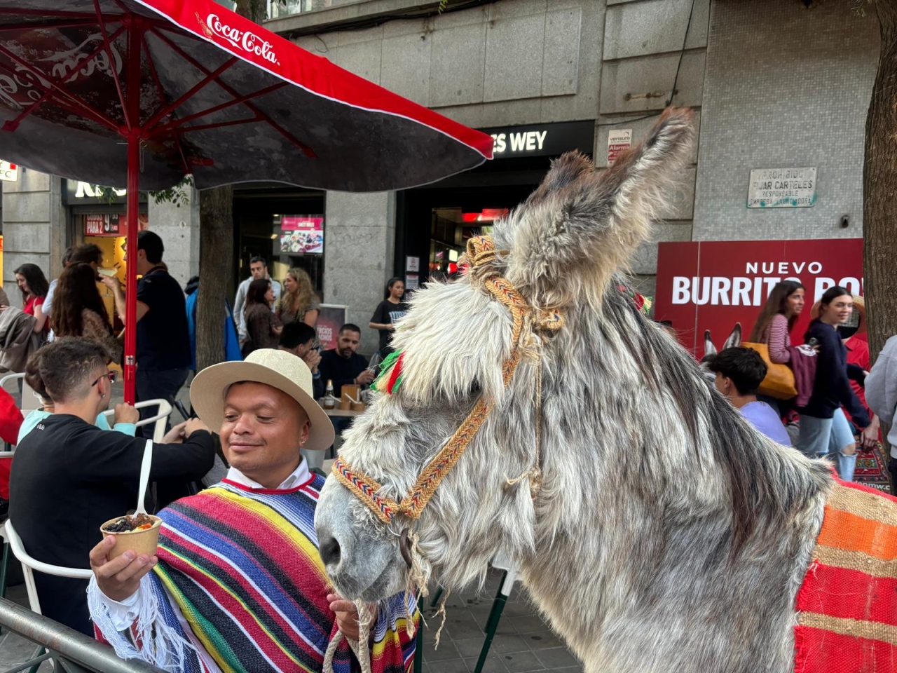 No Mames Wey celebra el Día Internacional del Burro lanzando el “Burrito Bowl”