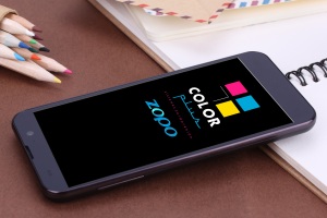 COLOR PLUS AMPLIA SU GAMA DE PRODUCTOS CON MÓVILES. 