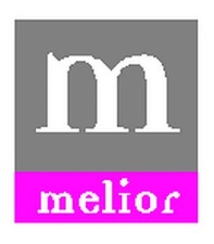 Melior finaliza el año con una ocupación en sus  oficinas superior al 90%