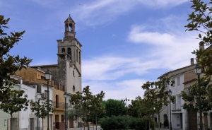 akiwifi Girona Sud crece en la zona de Riudellots