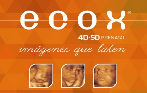 Ecox4D-5D abrirá nueva franquicia en Elche.