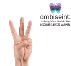  Ambiseint finaliza el tercer trimestre del año con tres nuevas aperturas