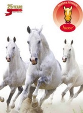 Husse comercializa en España el único desparasitador natural para caballos del mercado
